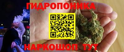 скорость Кингисепп