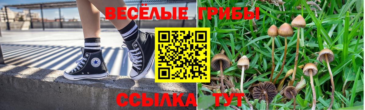 Новочебоксарск  Псилоцибиновые грибы мицелий  Вход с VPN  Псилоцибиновые грибы MAGIC MUSHROOMS 