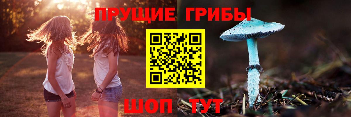 Псилоцибиновые грибы прущие грибы Новочебоксарск